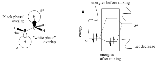 Conformation